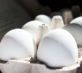Egg prices soar to record high in Telugu states