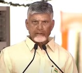 Chandrababu Naidu Orders Action on Medical Negligence in AP Govt Hospitals