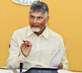Chandrababu Naidu Orders Key Measures for Banana Cotton Maize Crops