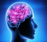 Researchers in Australia reveal progressive regional brain changes in Parkinsons disease