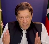 Imran Khan Alive Proof Demanded by Son Qasim