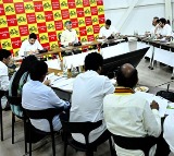 Chandrababu Directs MPs on AP Development Agenda
