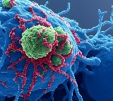 New drug to bypass resistance in deadly childhood cancer