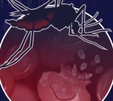 Over 6 lakh lives lost due to malaria in 2024, drug resistance a major threat: WHO