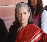 Sonia Gandhi conveys good wishes for Telangana Rising Global Summit