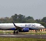 Indigo Crisis Mumbai Flight More Expensive Than New York
