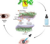 Indian researchers develop new peptide therapy to treat eye infections