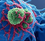 Indian scientists find missing link in body’s cells to boost therapies for Alzheimer’s, cancer