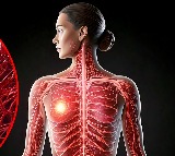 New ICMR study unravels breast cancer risk factors among Indian women