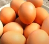 Eggs safe for consumption; cancer risk claims misleading, not scientific, says FSSAI