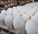 FSSAI Clarifies on Cancer Concerns in Eggs