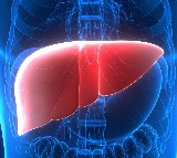 New monoclonal antibody safe and effective for rare liver disease