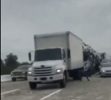 California Truck Drivers Sue Over License Revocations