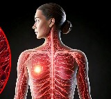 Study finds risk-based approach better for breast cancer screening