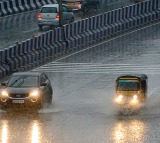 IMD predicts rain in TN's Western Ghats; fog likely in some parts
