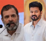 Actor Vijay and Rahul Gandhi are good friends says TVK party spokesperson