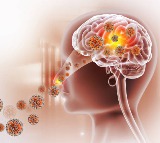 Brain Eating Amoeba Spreading Rapidly New Threat to World