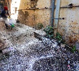 Indore water crisis: Cong demands answers on WHO cholera guidelines, claims death toll has increased