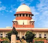 Street dog attack responsibility lies with feeders says Supreme Court