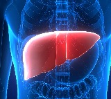 Your mouth bacteria can predict risk of chronic liver disease, says study