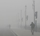 Delhi Fog Flights and Trains Delayed Due to Dense Fog in Delhi
