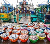 Union Budget 2026: Strengthening fisheries, animal husbandry take centre stage in farm sector growth