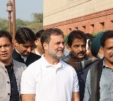 Rahul Gandhi claims PM Modi 'under pressure' over India-US trade deal