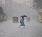 Forecast for light showers in South TN, delta districts; fog in western parts