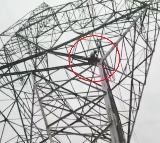 Married Woman Climbs Tower for Education in Indore