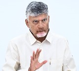 Chandrababu Naidu Serious on Rajahmundry Adulterated Milk Incident