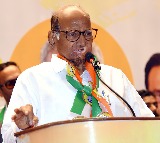 Sharad Pawar to Contest Rajya Sabha Elections as Opposition Candidate