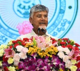 Chandrababu Naidu Announces Swayam Brand for Womens Development