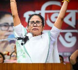 Several factors make Bhabanipur a key battleground in Bengal polls
