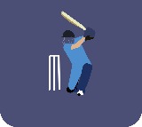 Indian Sports Economy Surpasses 2 Billion Dollars Driven by Cricket