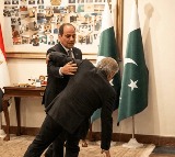 Ishaq Dar falls while welcoming Egypt Minister in Pakistan