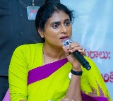 YS Sharmila Slams Telugu MPs for Lack of Support on AP Issues