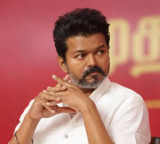 Vijay-Sangeetha divorce case deferred to June 15, amicable settlement indicated