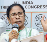 Abhishek Banerjee Attacked Mamata Blames BJP