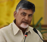 Chandrababu Naidus Message on Telangana Formation Day