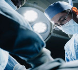 In a first scientists transplanted both a pig liver and kidneys into a person who was brain dead