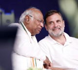 BJP slams Rahul Gandhi over Emergency remark