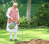 PM Modi extends best wishes on World Environment Day, applauds conservation efforts
