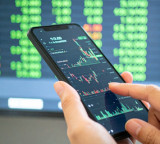 Domestic investors continue to offset FII selling amid govt booster to woo foreign capital