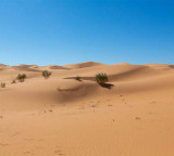Sahara Desert tragedy 49 people die of thirst in Niger
