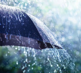 Southwest Monsoons Enter AP Alert for South Coast and Rayalaseema