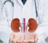 Kidney health is in our hands these habits keep them safe for a long time