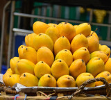 Mango is the king of fruits and also a king for health