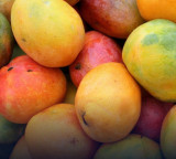 Indian Mangoes Face Import Ban In Nepal After Japan