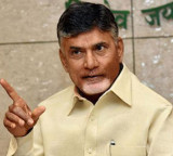 CM Chandrababu Naidu on a two day visit to Delhi