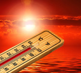 Scorching Heat Body Temperature Above 40 Degrees Can Be Fatal